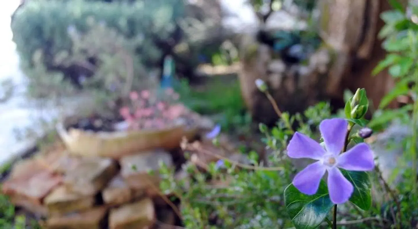 Giardino Giamperduto Tiere