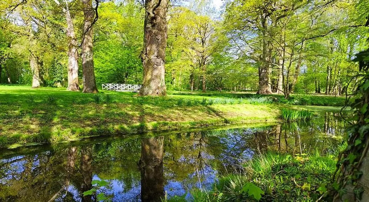 Schloß Schlemmin Garten