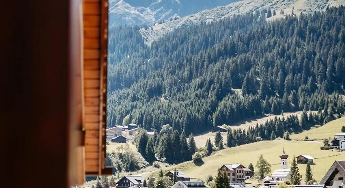 Bradabella LANDSCAPE