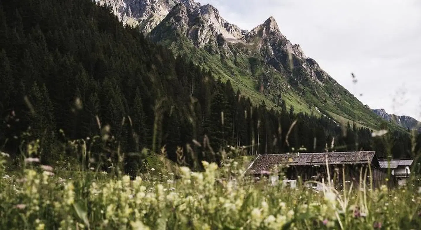 Alpenhotel Heimspitze LANDSCAPE
