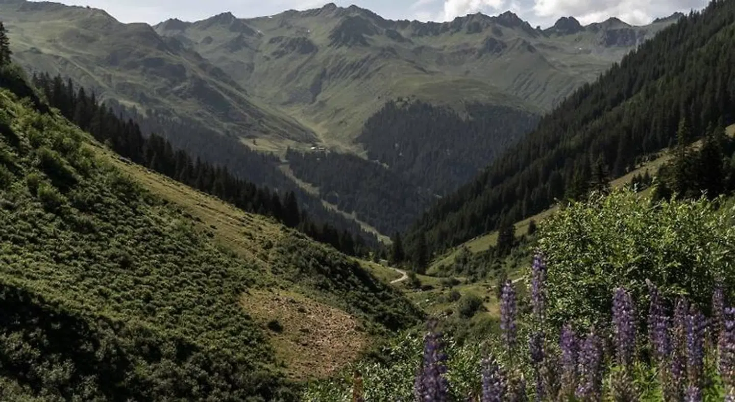 Alpenhotel Heimspitze LANDSCAPE