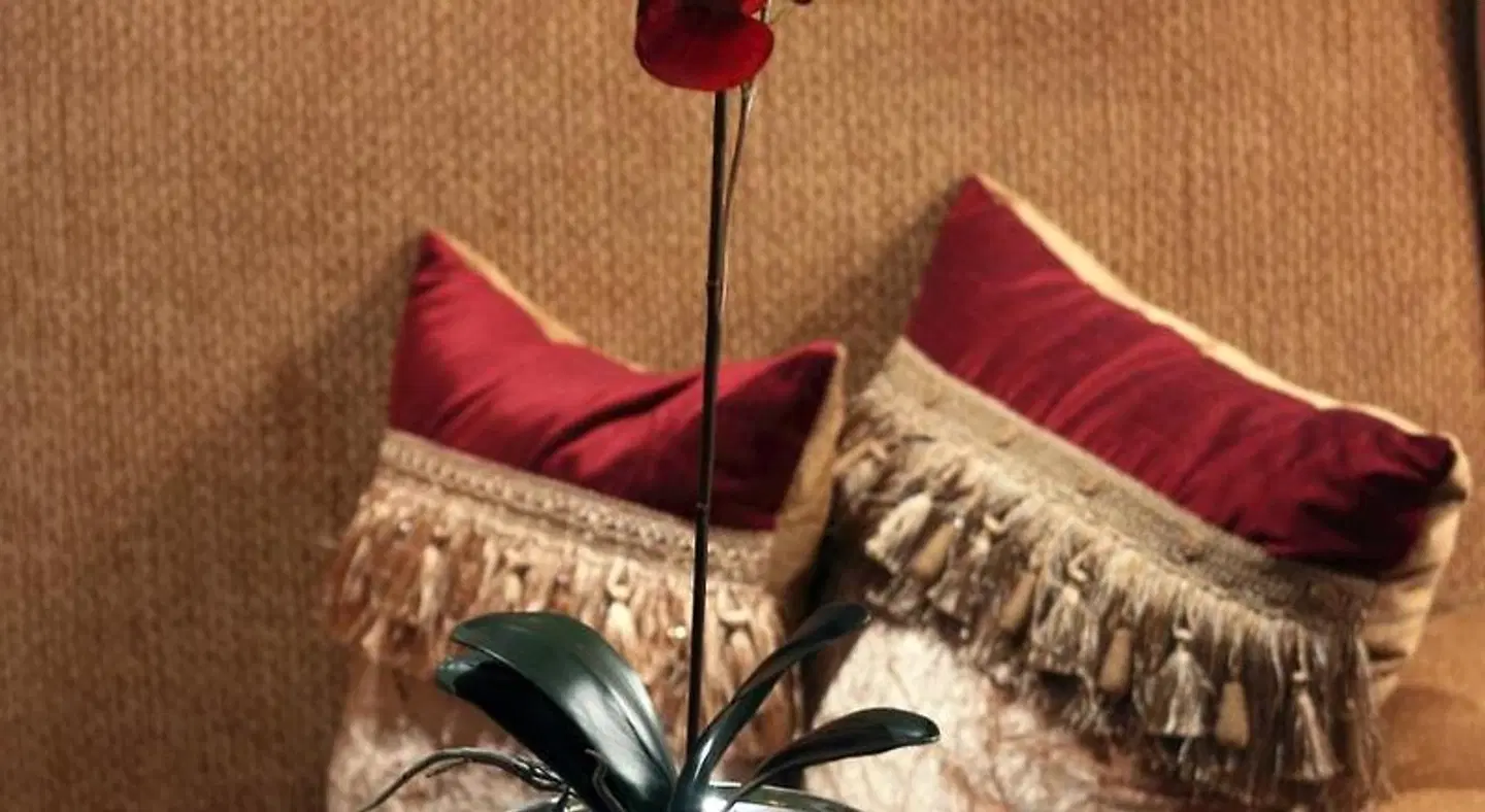 Fusion Boutique Hotel Tiere