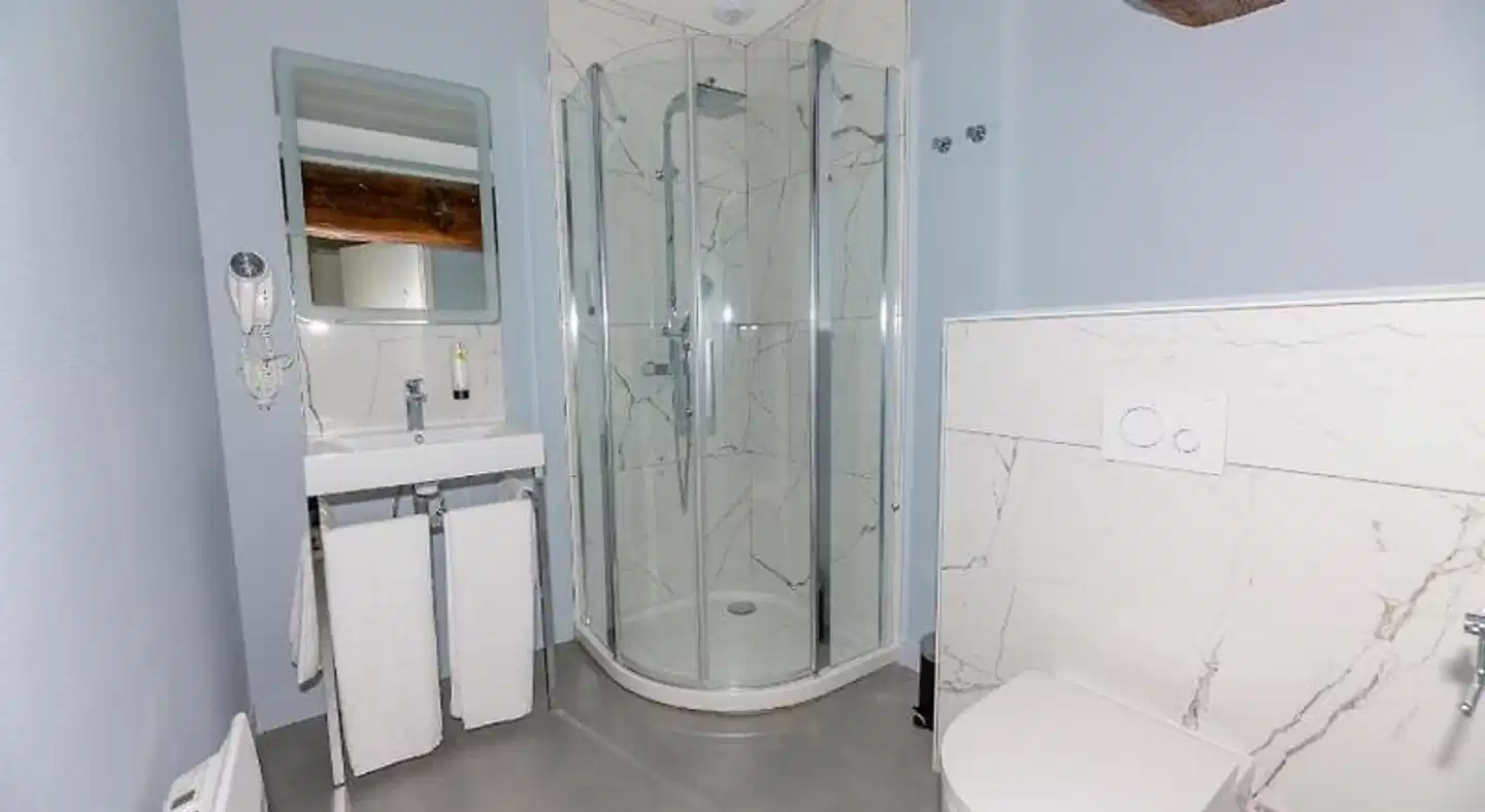 Logis Hôtel du Parc Badezimmer