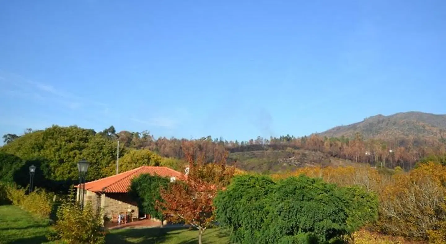 Quinta do Rei LANDSCAPE