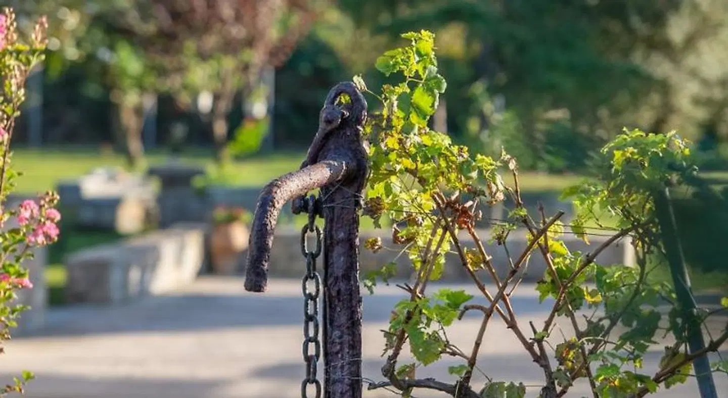 Villa Tsitreli Tiere