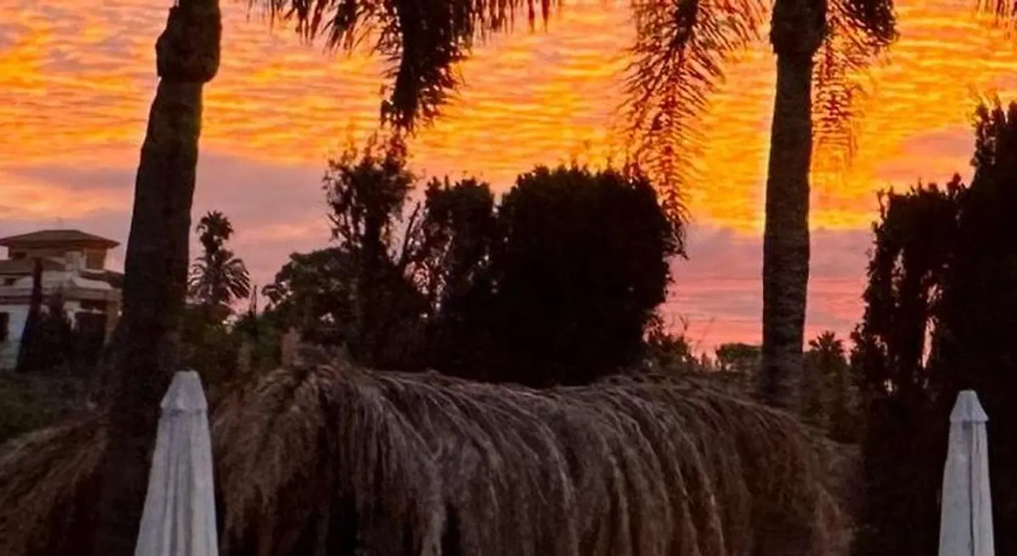 Finca La Vida Loca Tiere