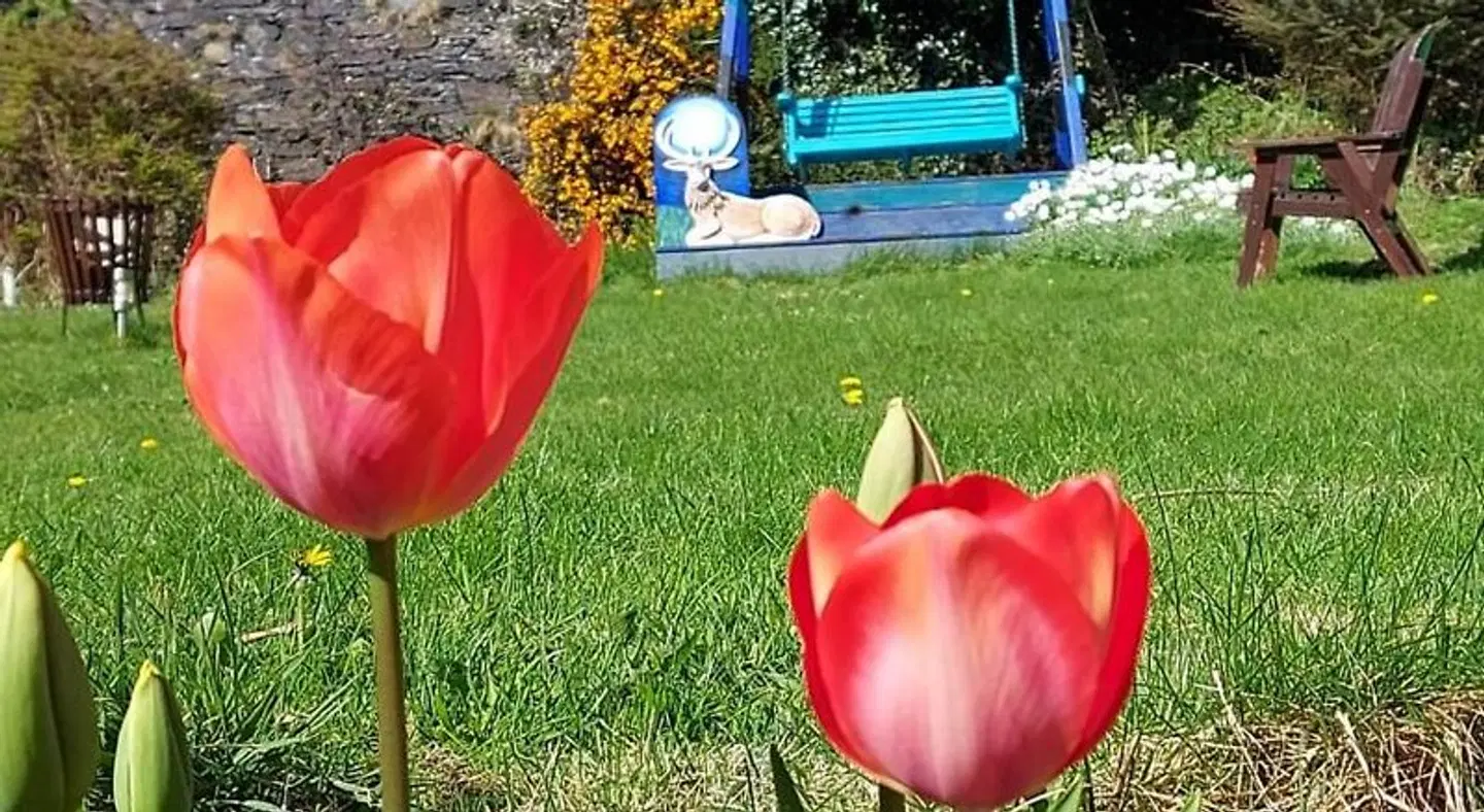 Garragh Mhor B&B LANDSCAPE