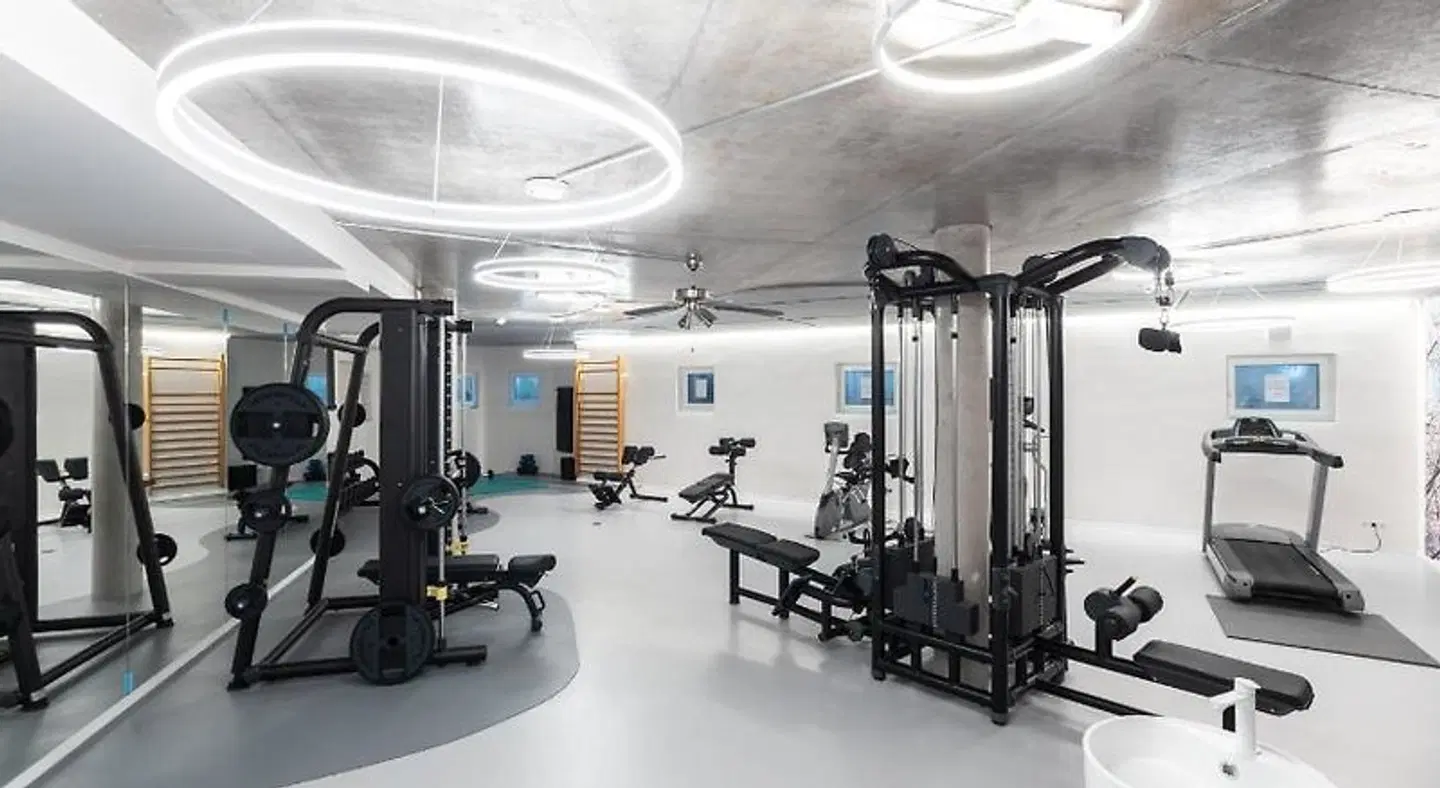 Traube SPORTS_AND_LEISURE