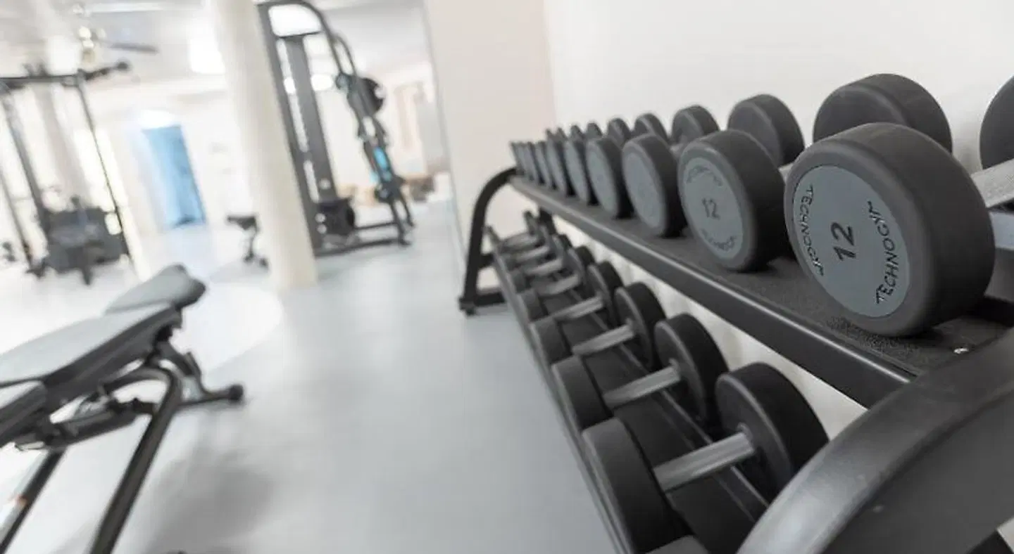 Traube SPORTS_AND_LEISURE
