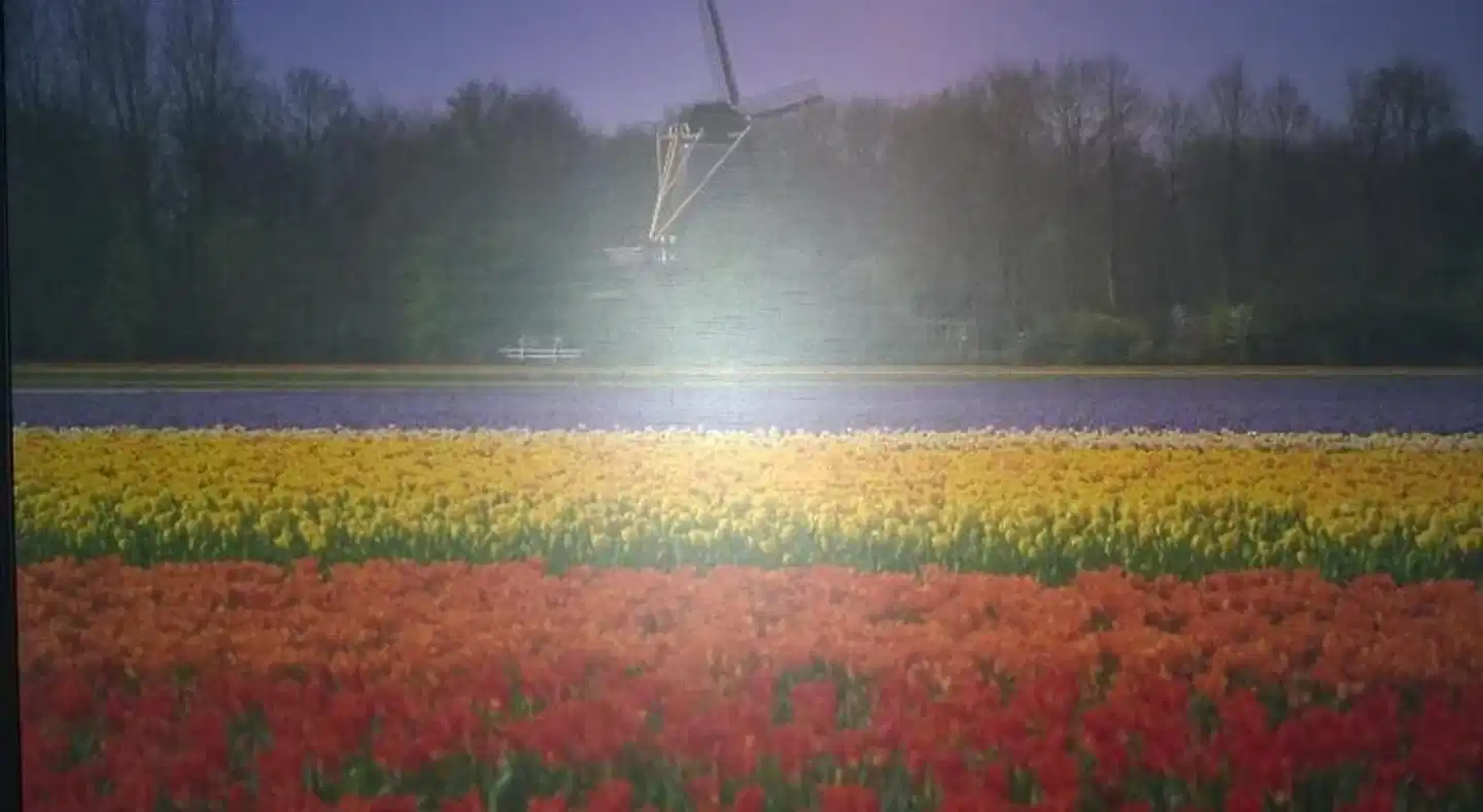 Central Sport und Entertainment