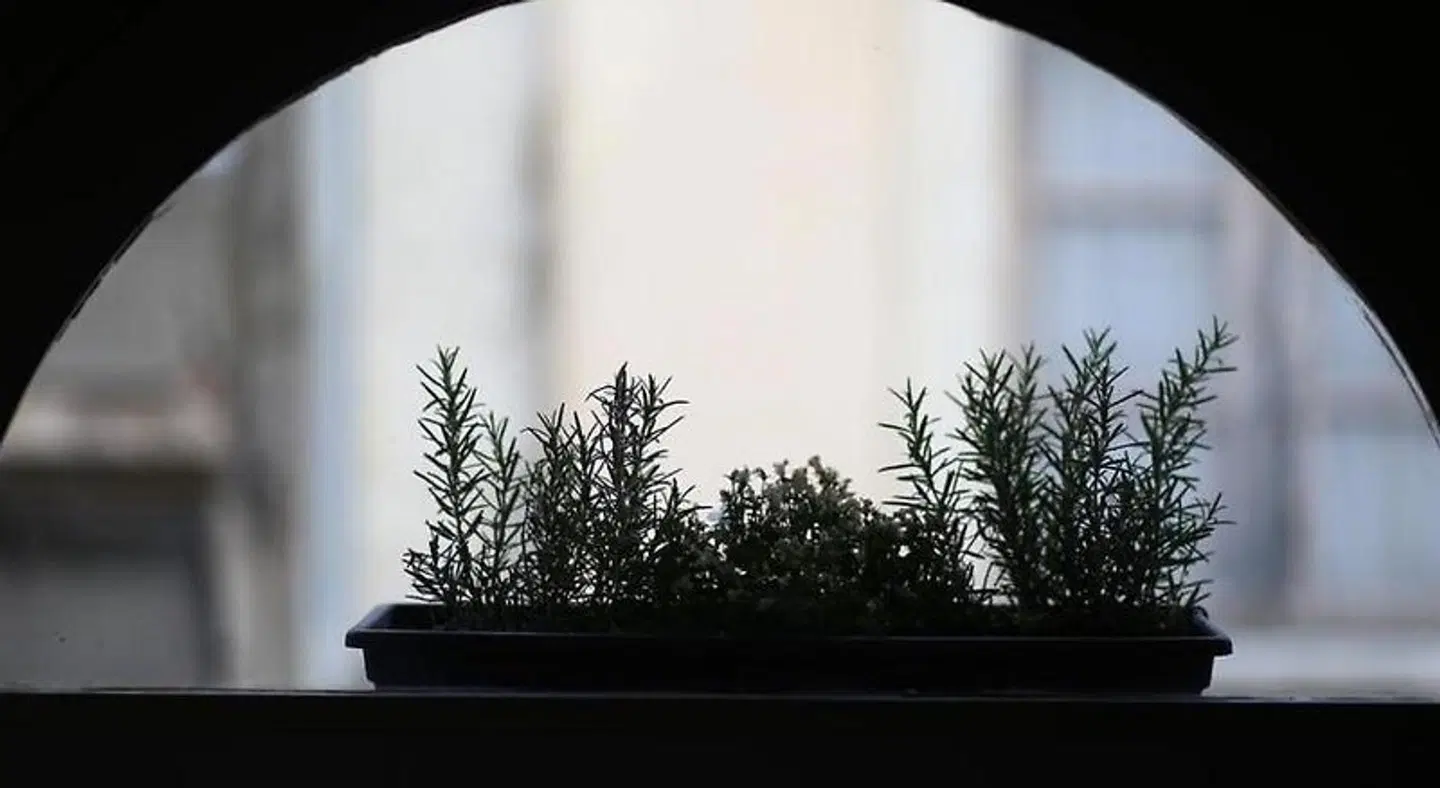 Le Relais de la Maison Bacou Garten