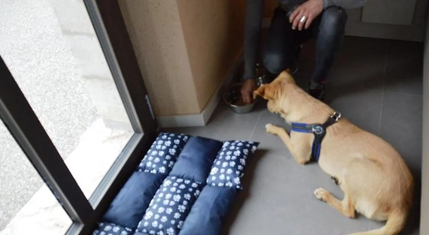 Borgo Stazione Bike Inn ROOM_EXAMPLE