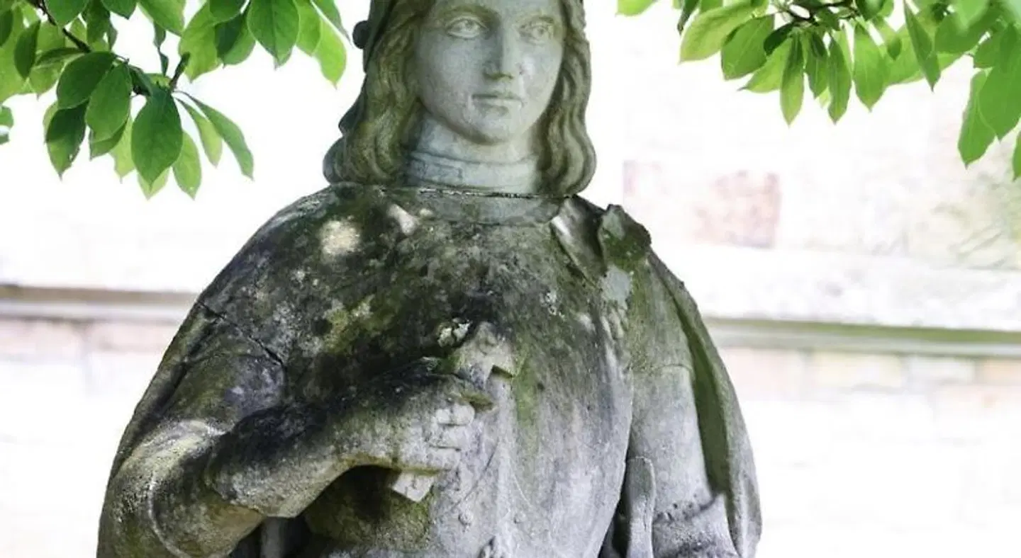 Bildungshaus St Bernhard Tiere