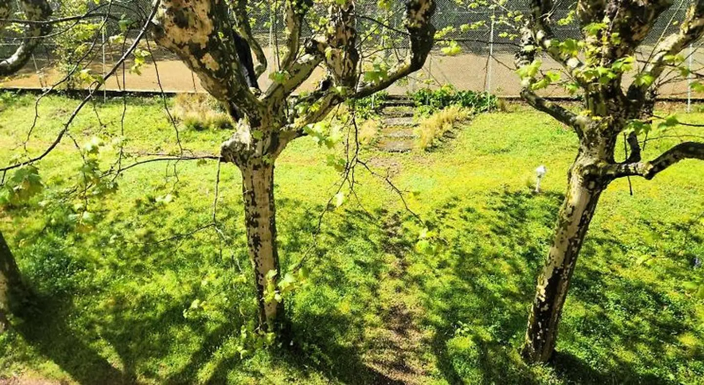 Villa Castel Chambres d'Hôtes LANDSCAPE