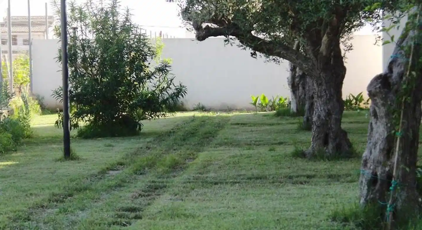 Lilybeo Village Garten