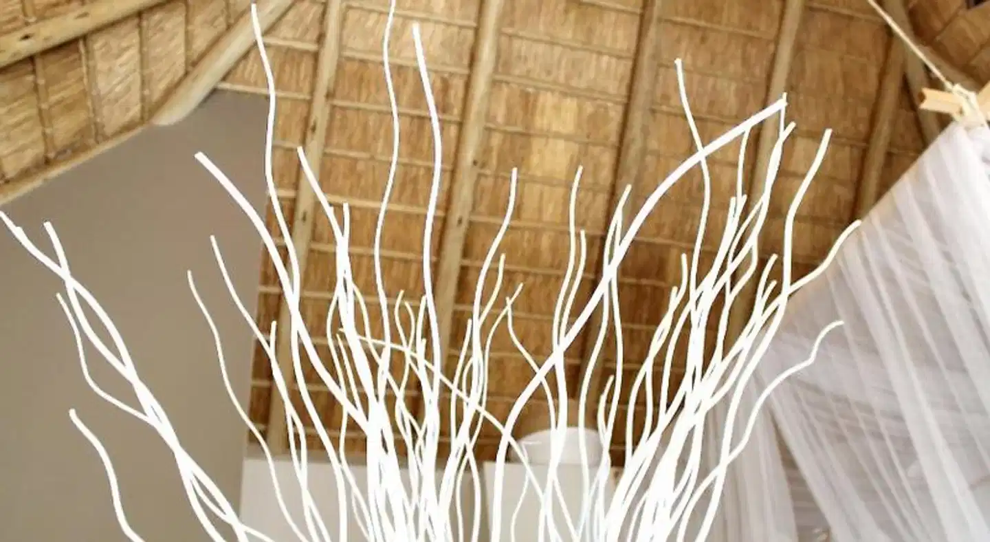 African Flair Boutique Safari Lodge Landschaft