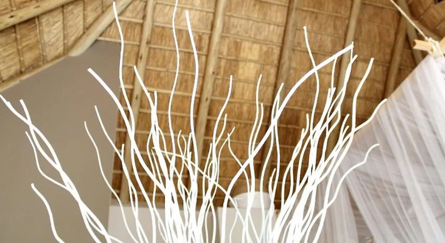 African Flair Boutique Safari Lodge LANDSCAPE