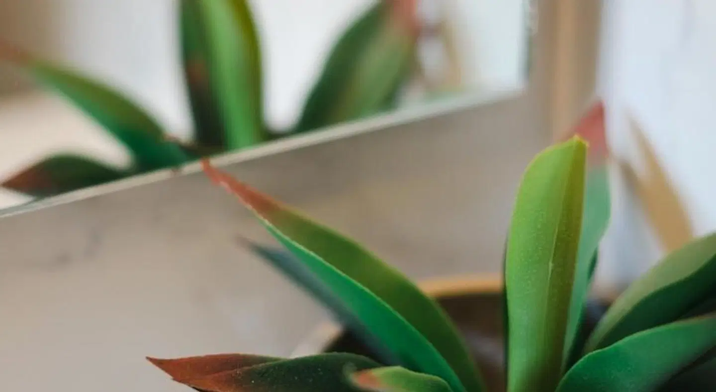 Residence Poseidon ROOM_EXAMPLE