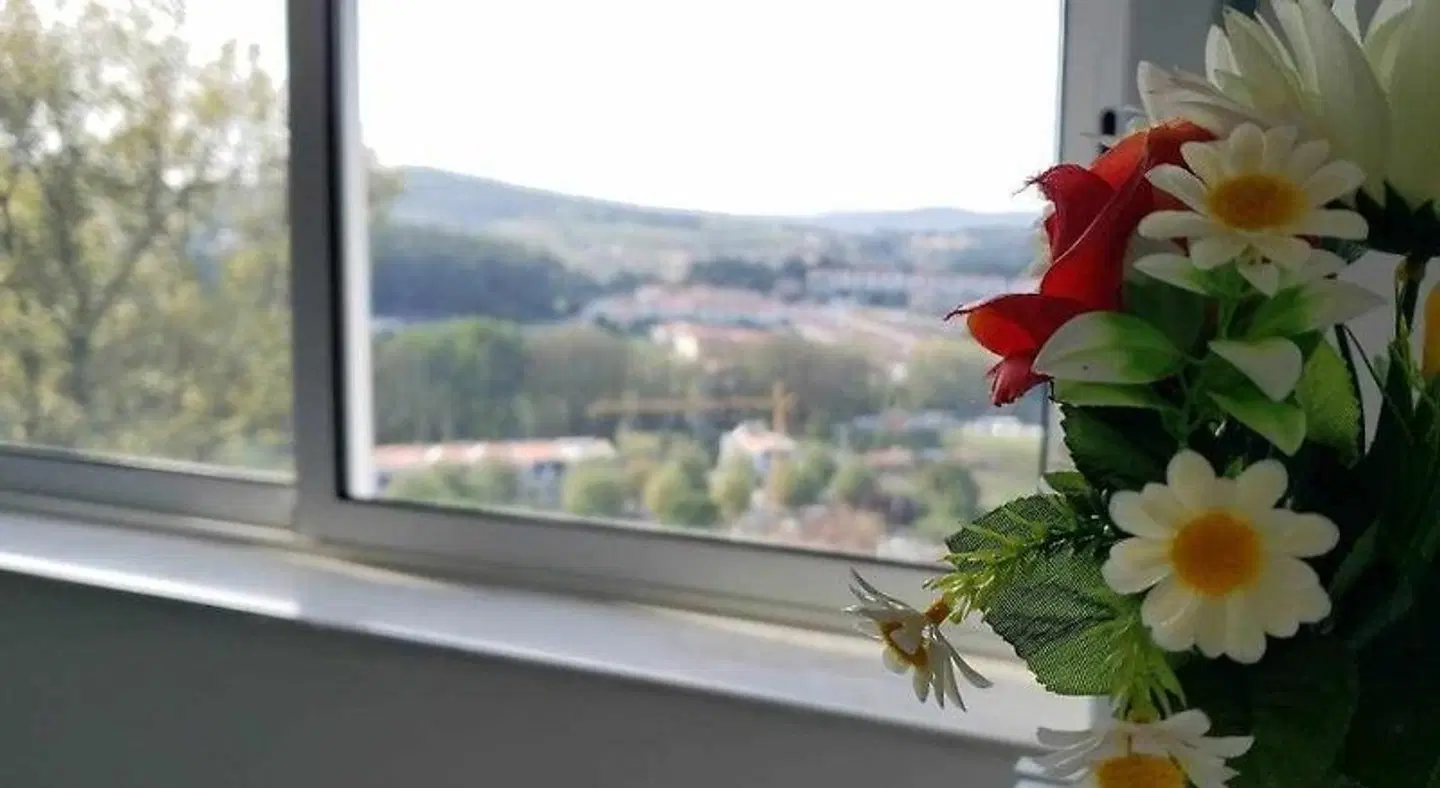 Bossa nova guesthouse braga Terrasse