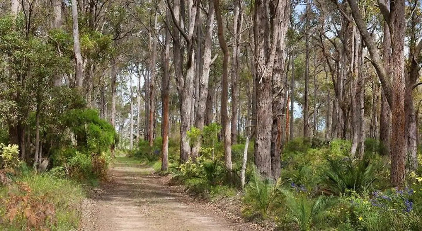 Redgate Forest Retreat LANDSCAPE