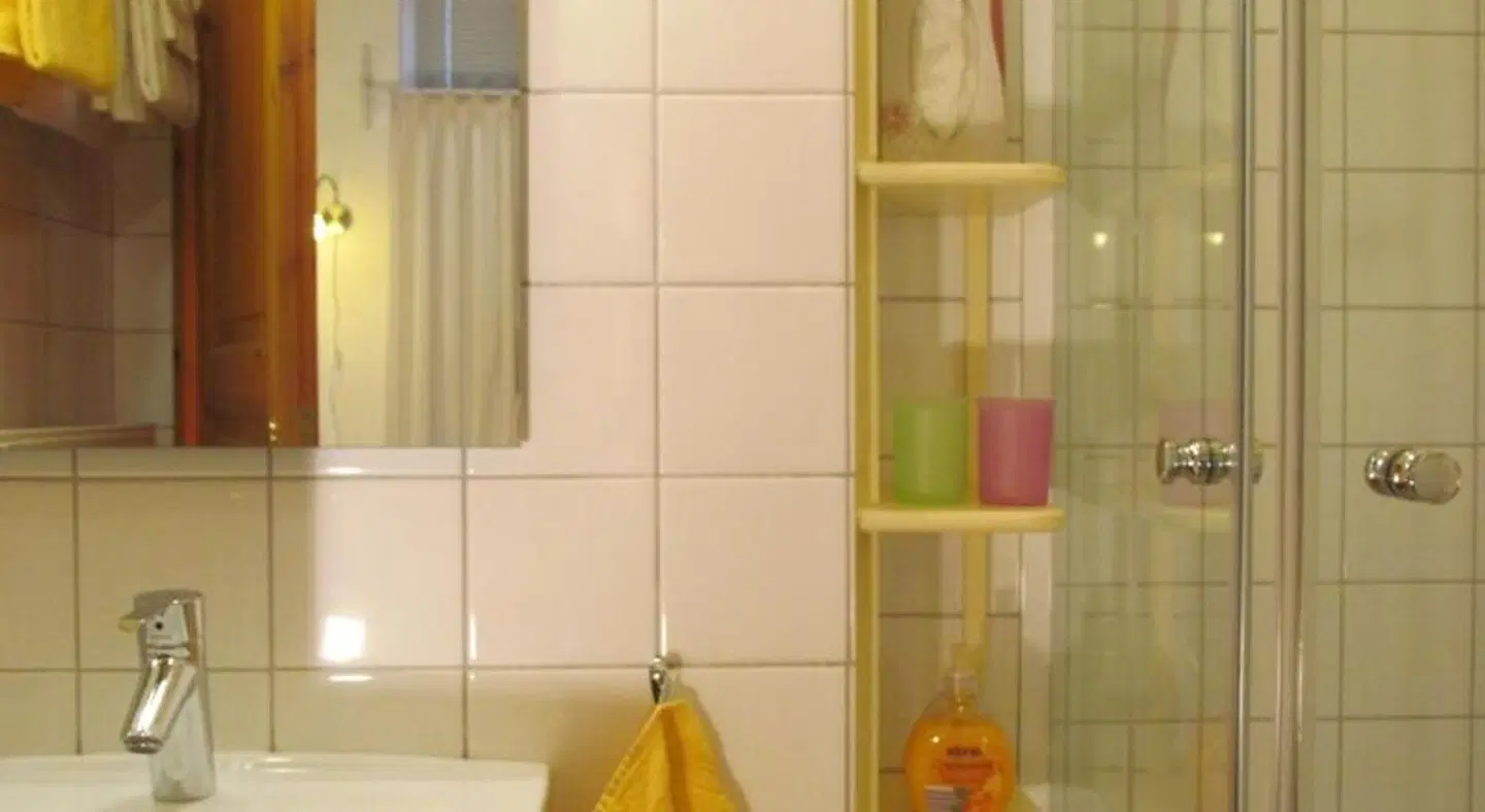 Appartements im Froschhaus Badezimmer
