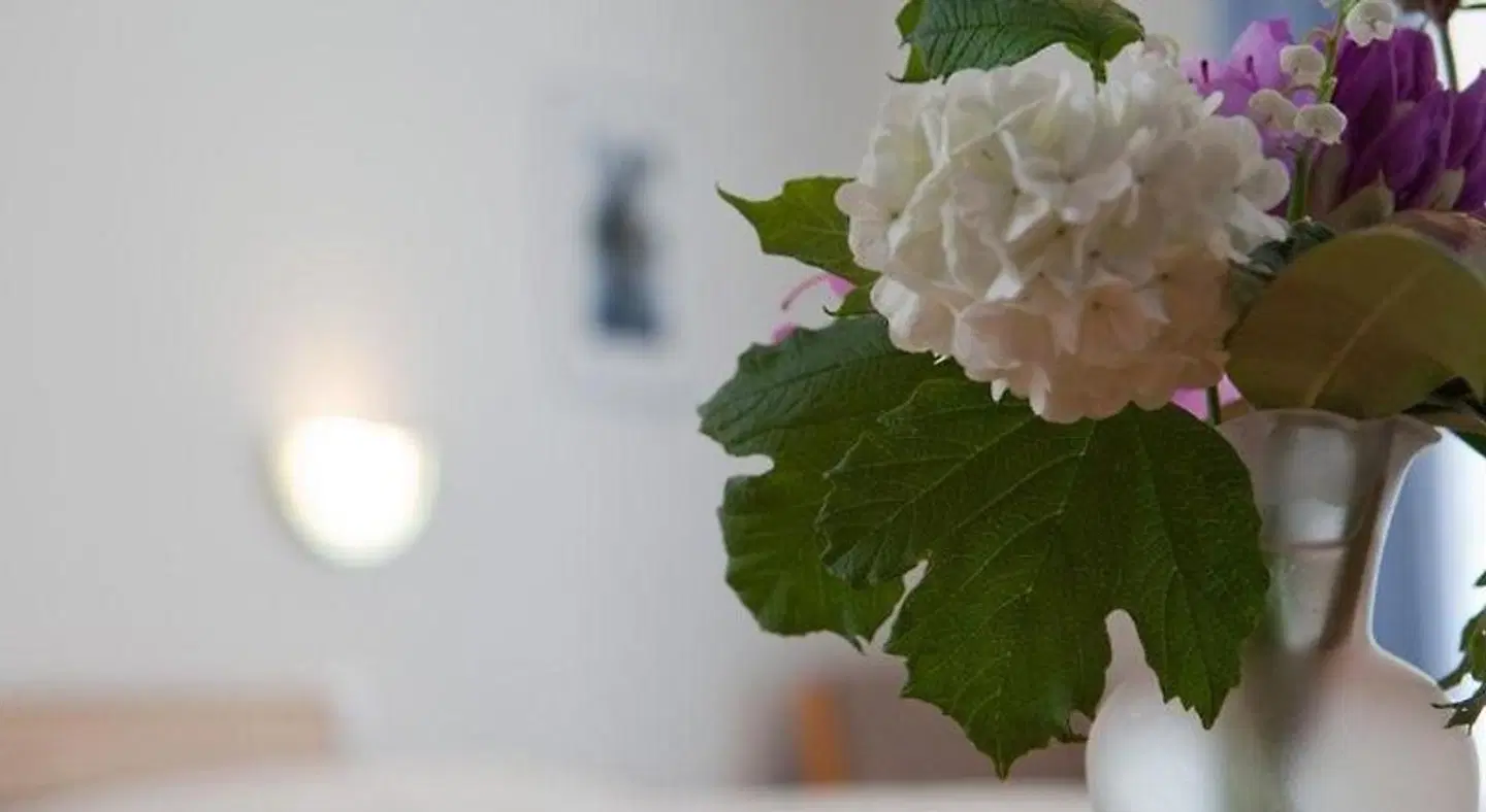 Seehotel Terrasse Bönigen LANDSCAPE