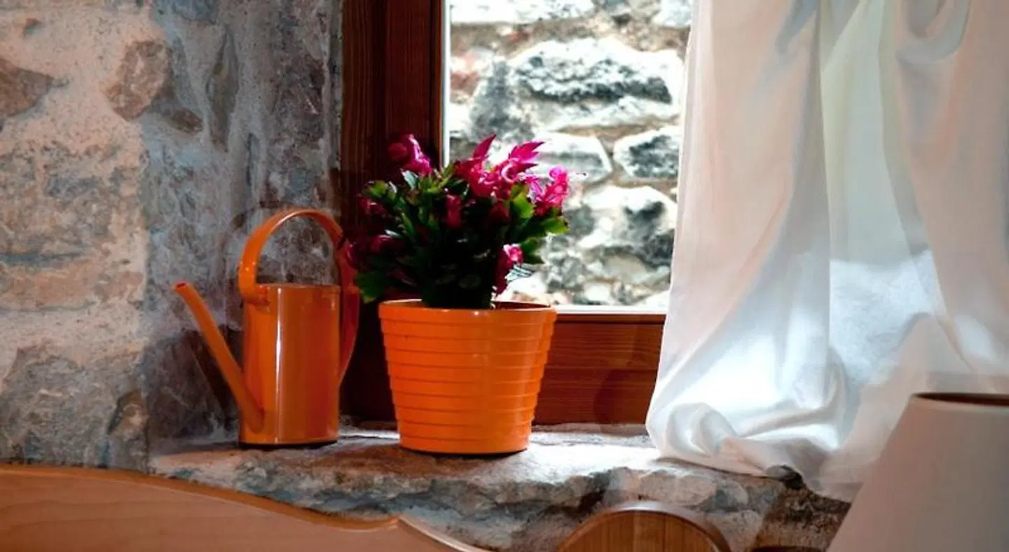 Apartments Salvezani LOUNGE_LOBBY