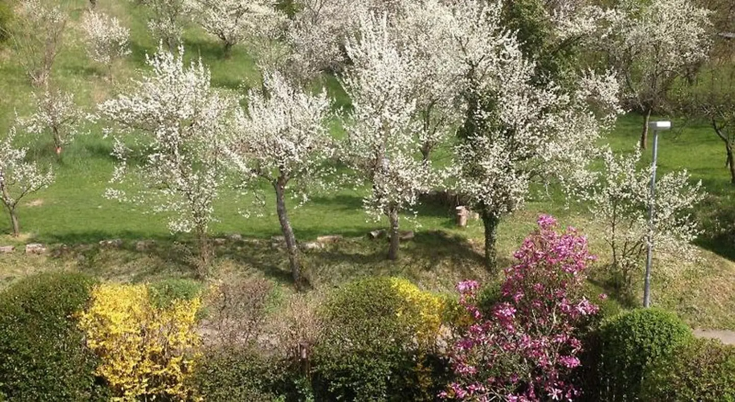 1463 Apartmenthaus Garten