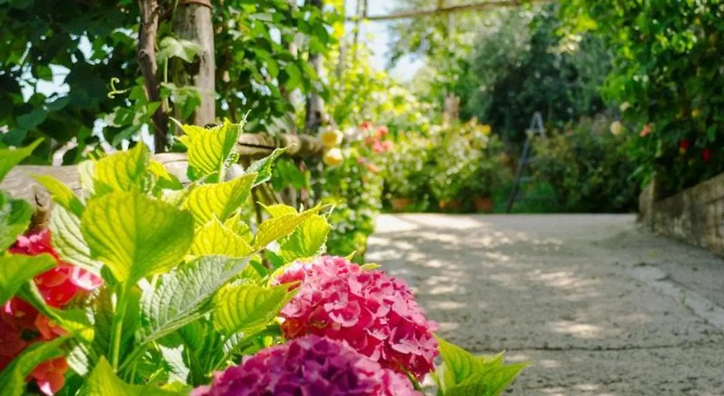 Rosa e Valentino Garten