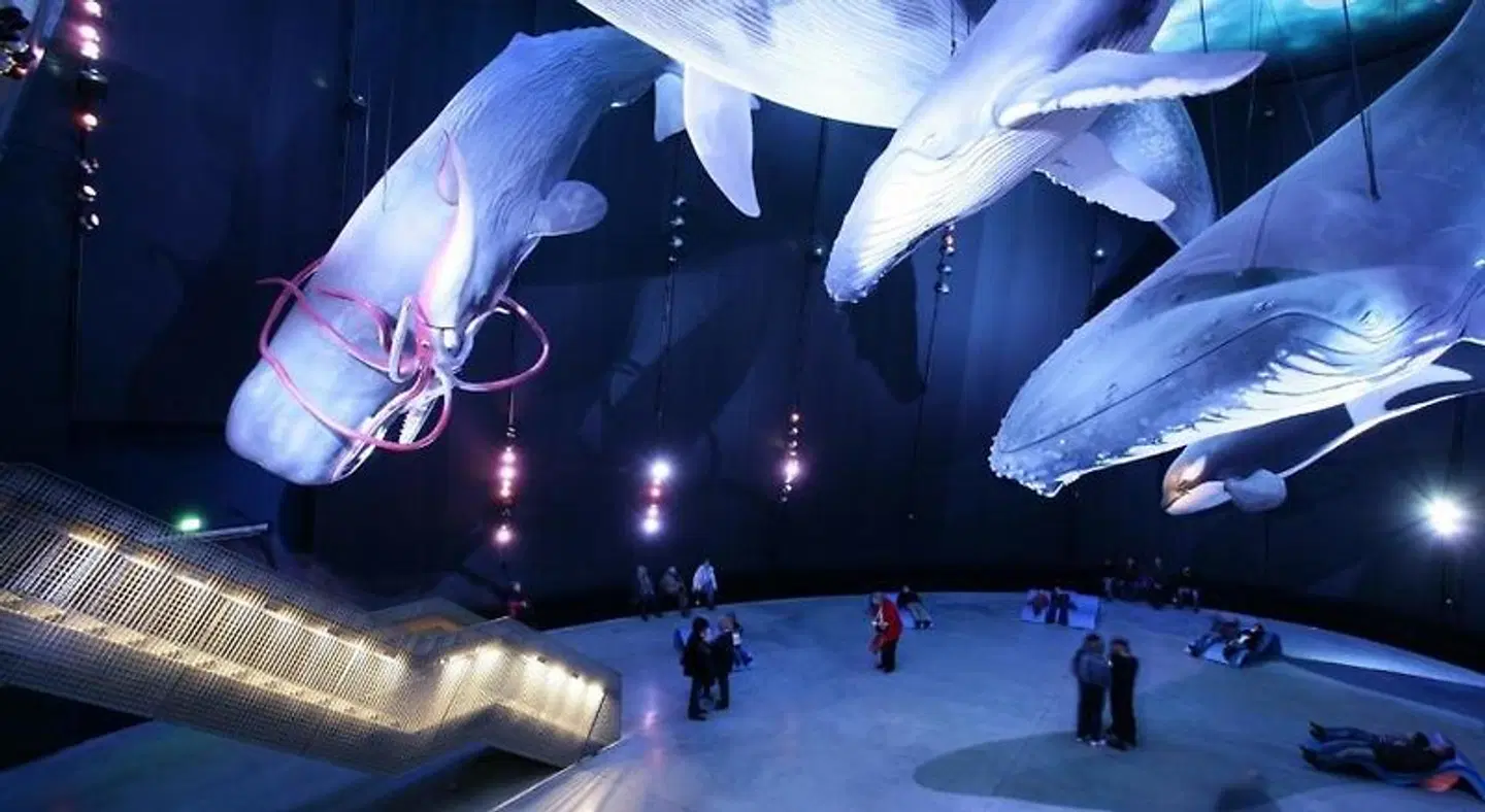 Pension Am Ozeaneum SPORTS_AND_LEISURE