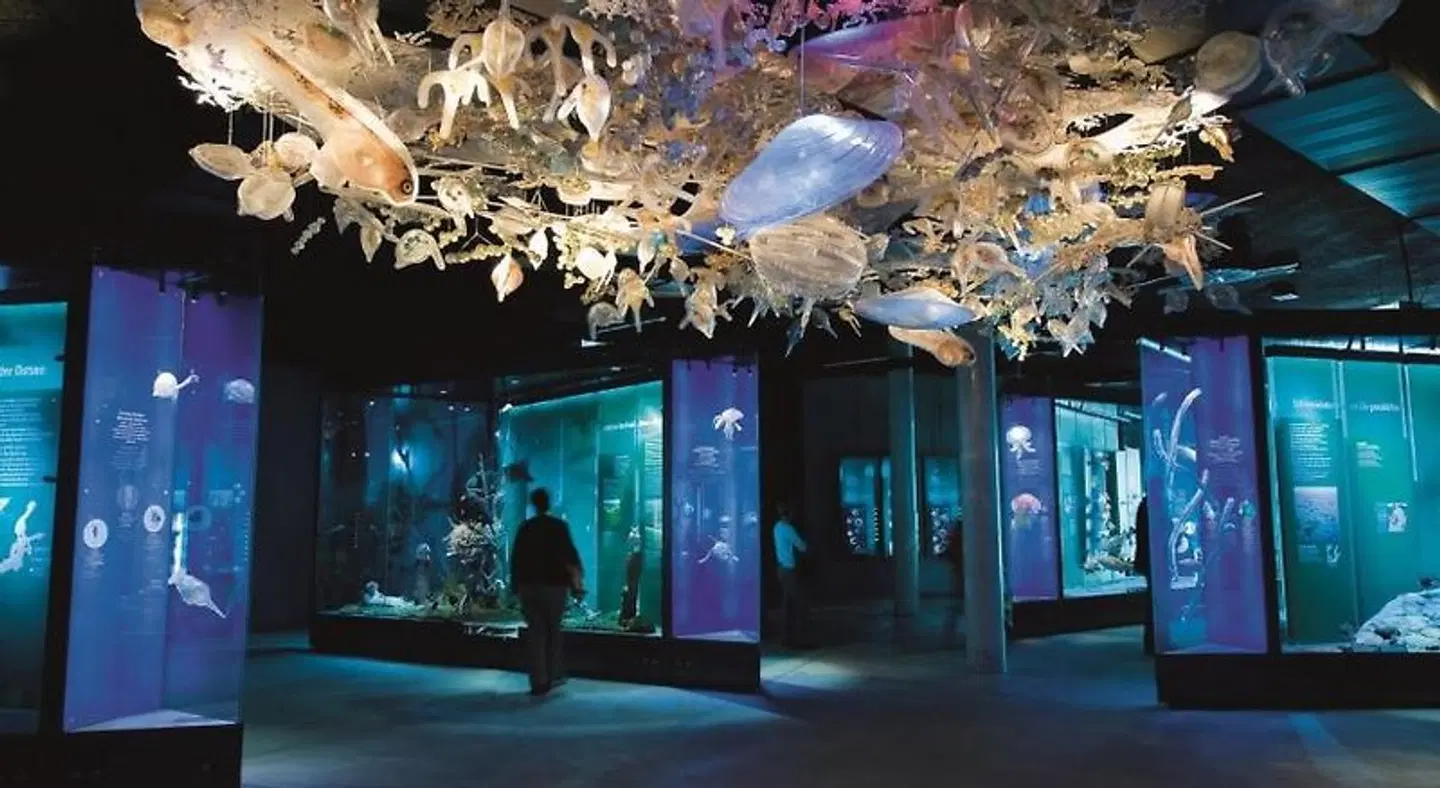 Pension Am Ozeaneum LOUNGE_LOBBY