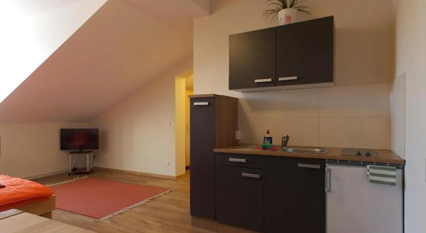 Apartmentpension am Stadtschloss ROOM_EXAMPLE