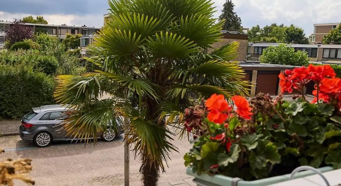 Treehouse Inn Garten
