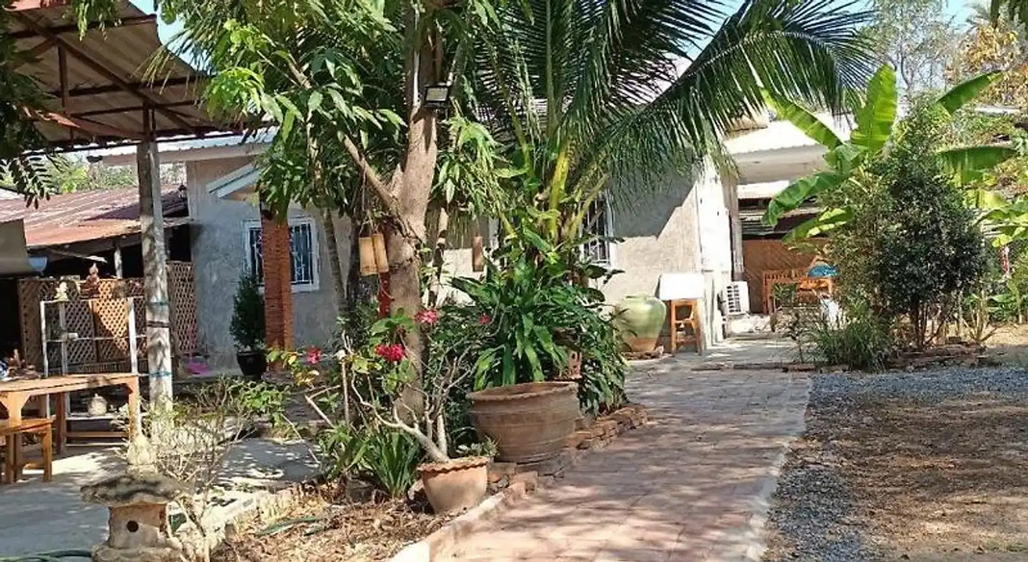 Pottery Street House Terrasse