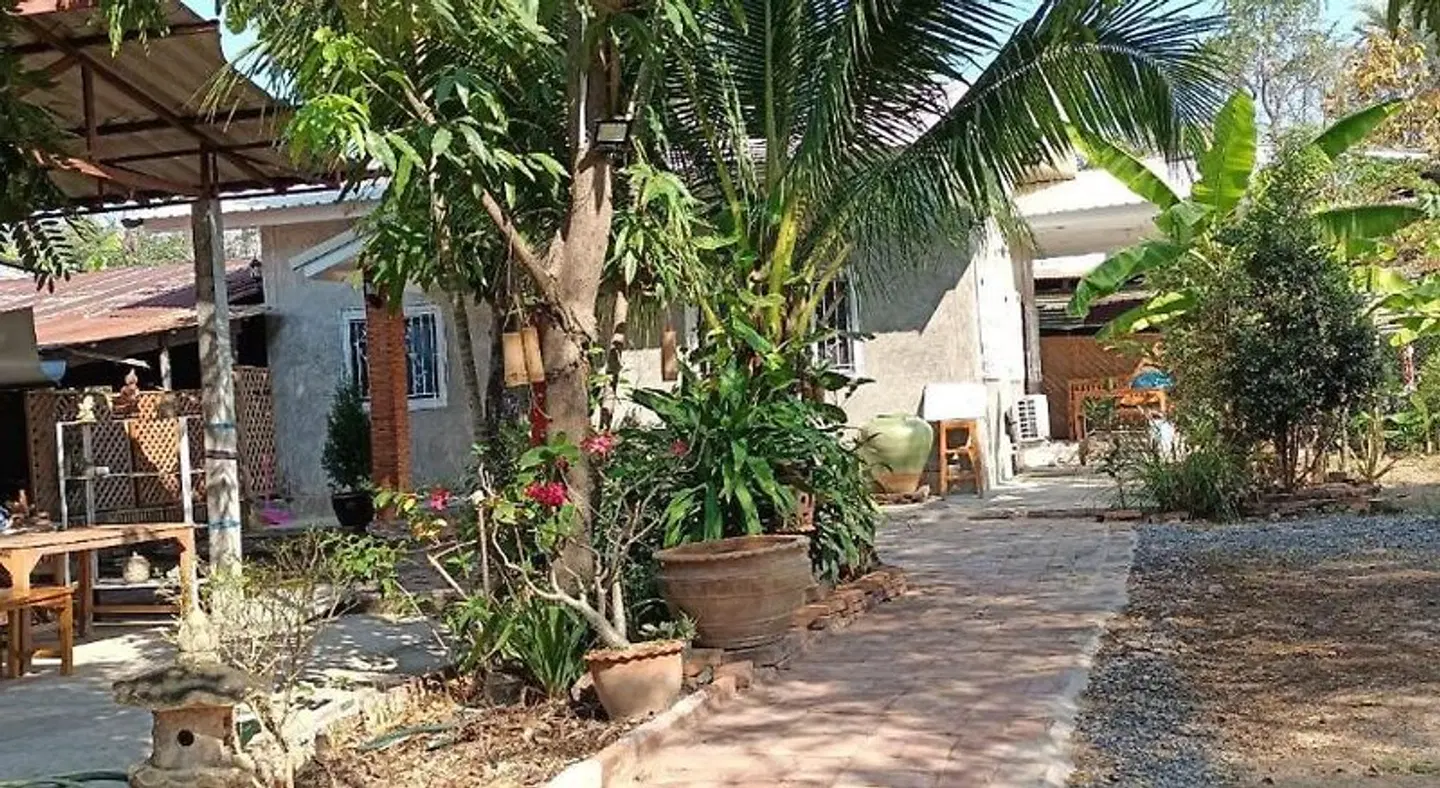 Pottery Street House Terrasse