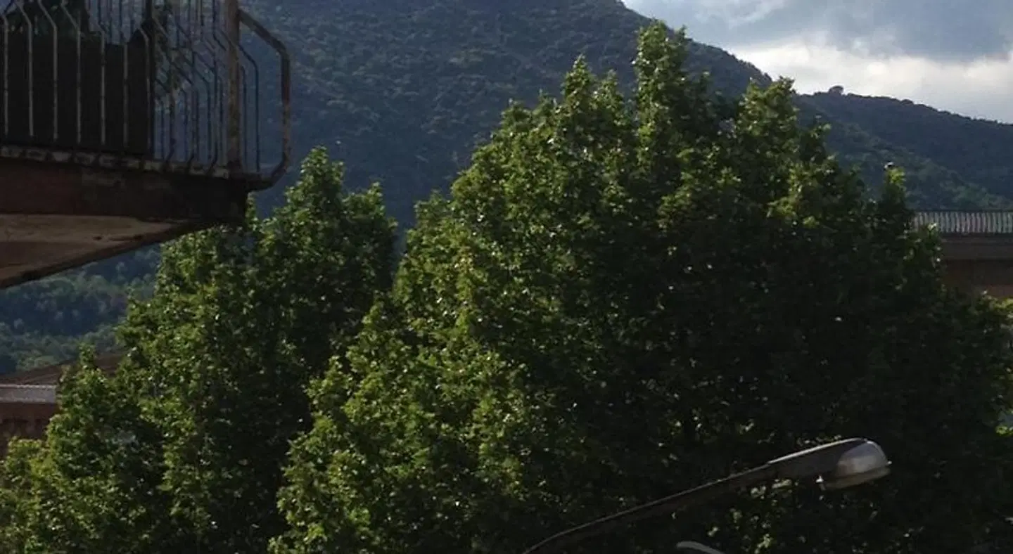 SuiteIris LANDSCAPE