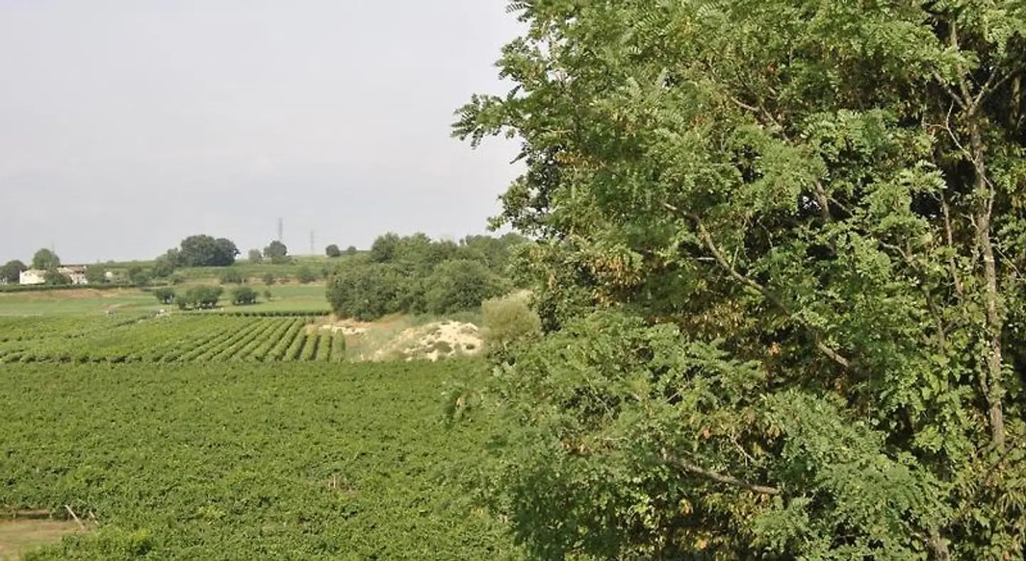 Agriturismo Tenuta San Leone LANDSCAPE