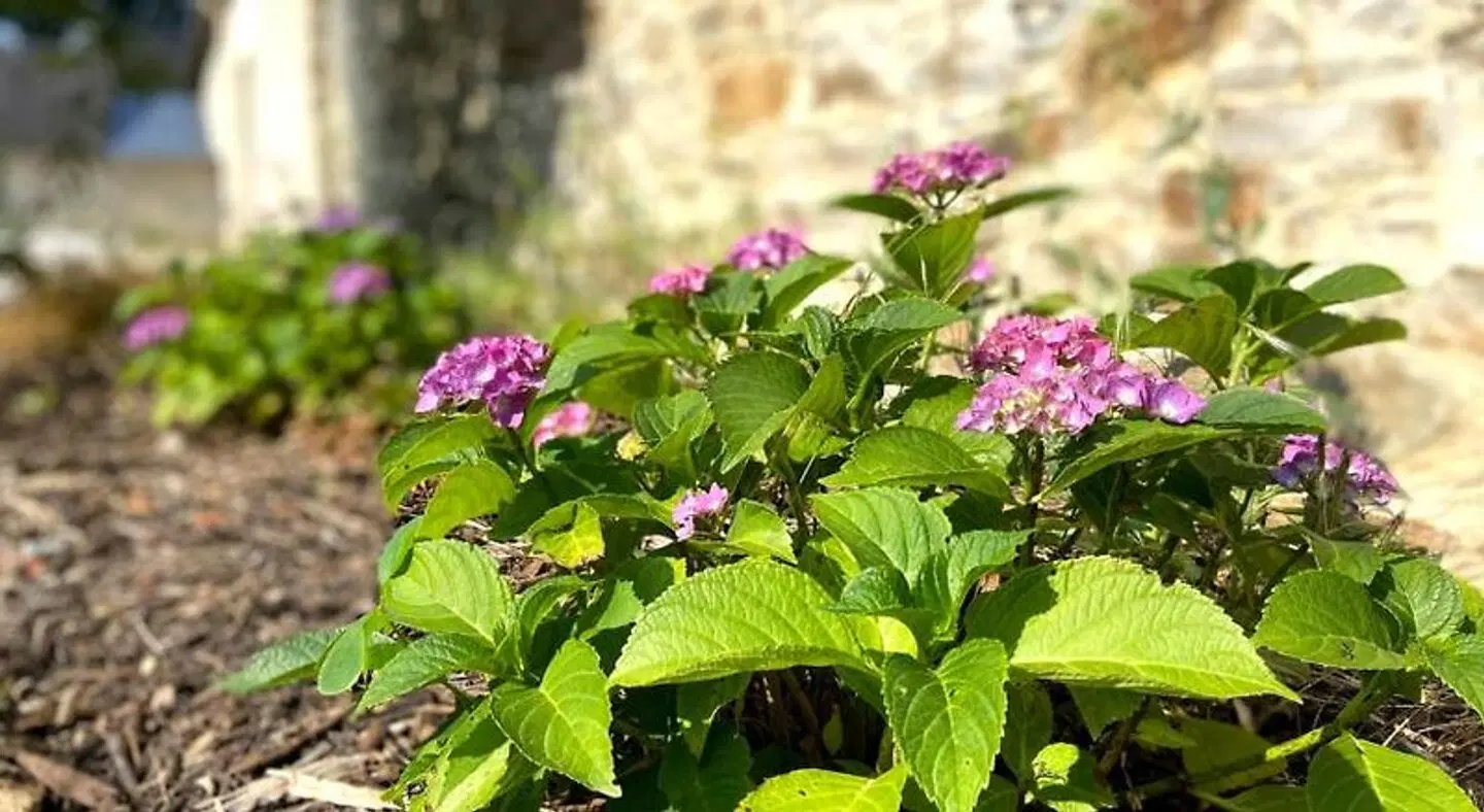 Le Domaine du Chalonge Garten