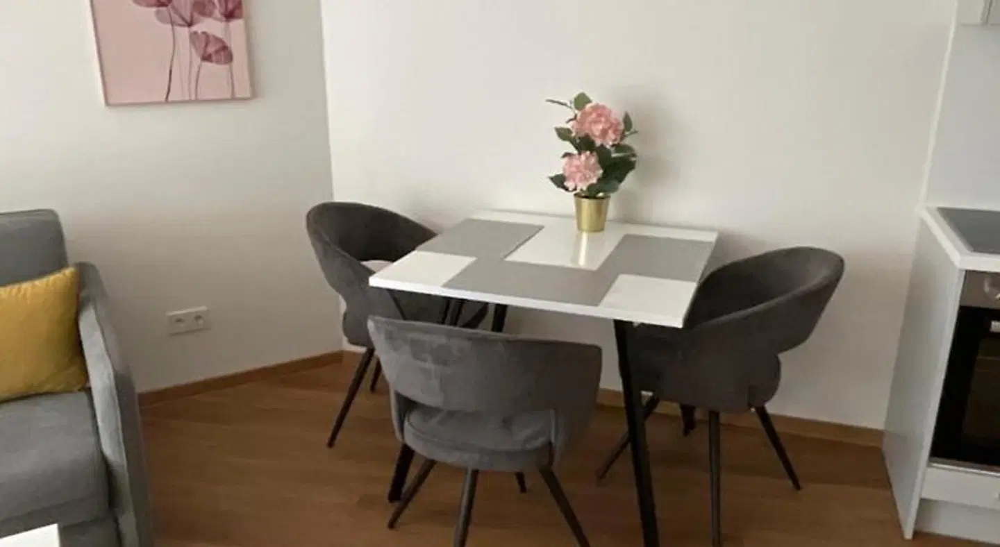 DM & s Apartment Konferenz