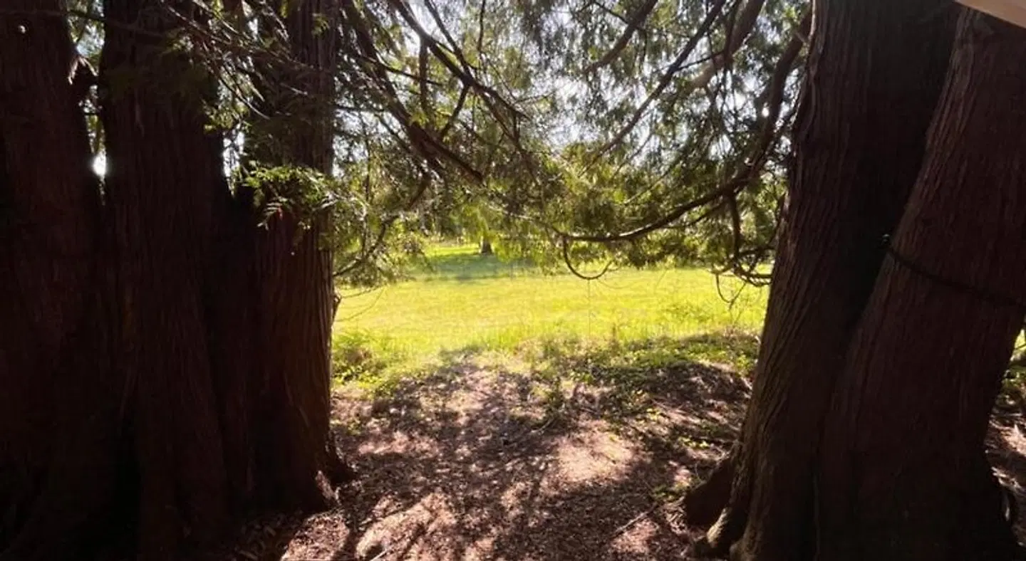 Lopez Farm Cottages & Tent Camping - Adults Only Garten