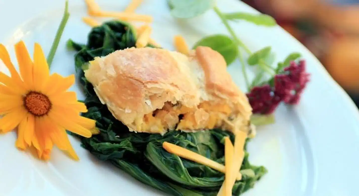 Steinschalerhof Tiere