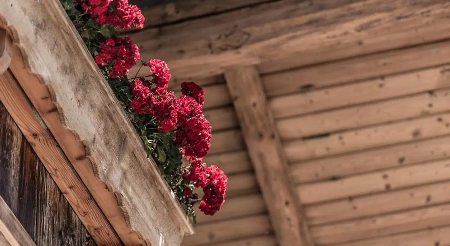 Riedl / Kössen HEALTH_BEAUTY