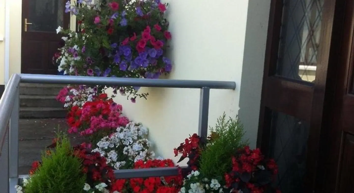 Hillview House Bed & Breakfast Terrasse
