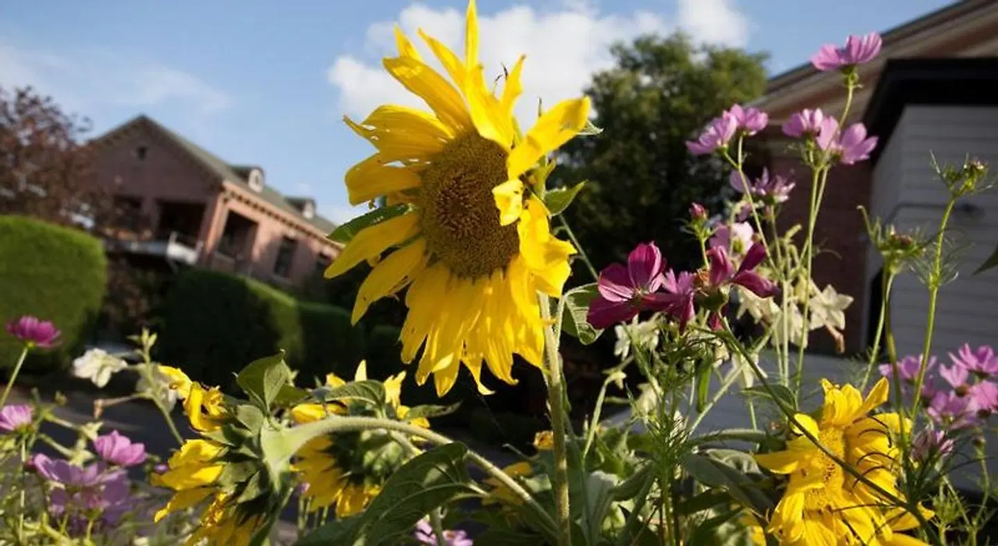 McMenamins Grand Lodge LANDSCAPE