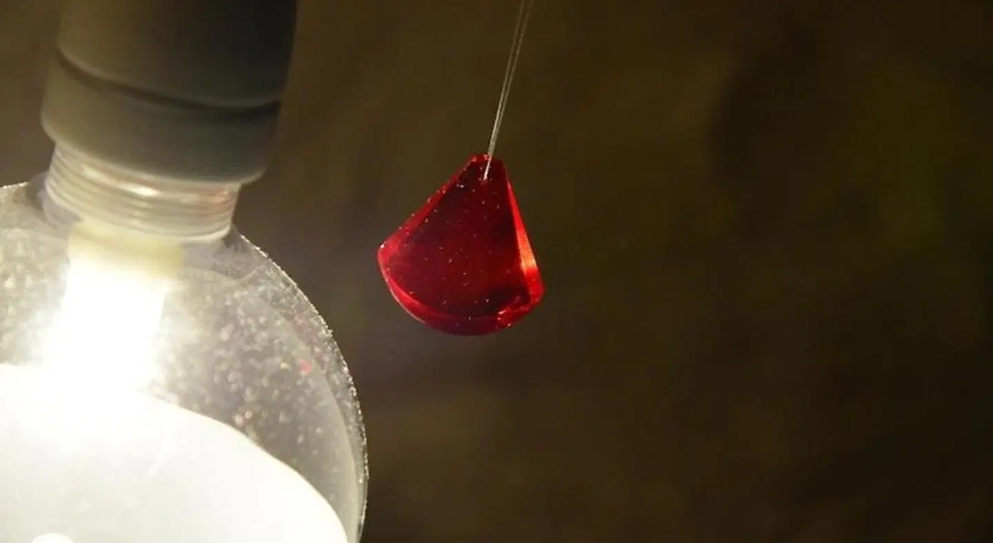 Palais La Nasse PEOPLE