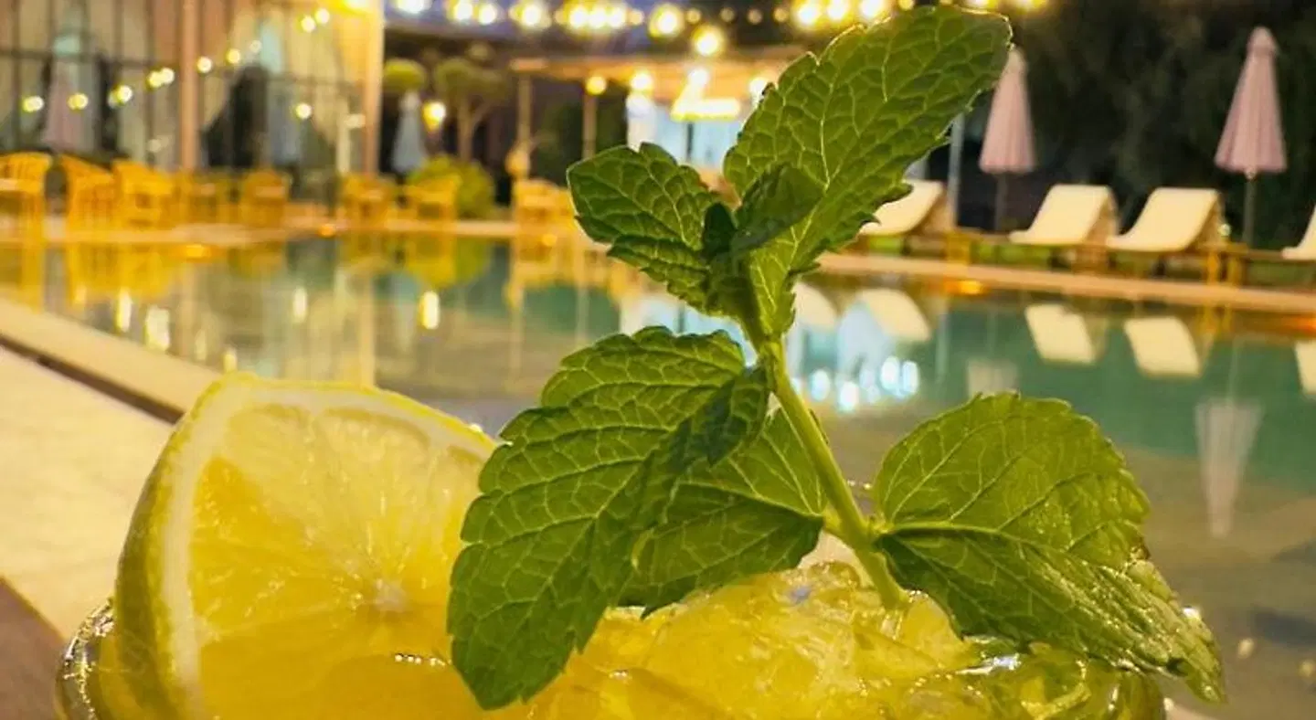 The Bird Exclusive Guest House & Spa Tiere