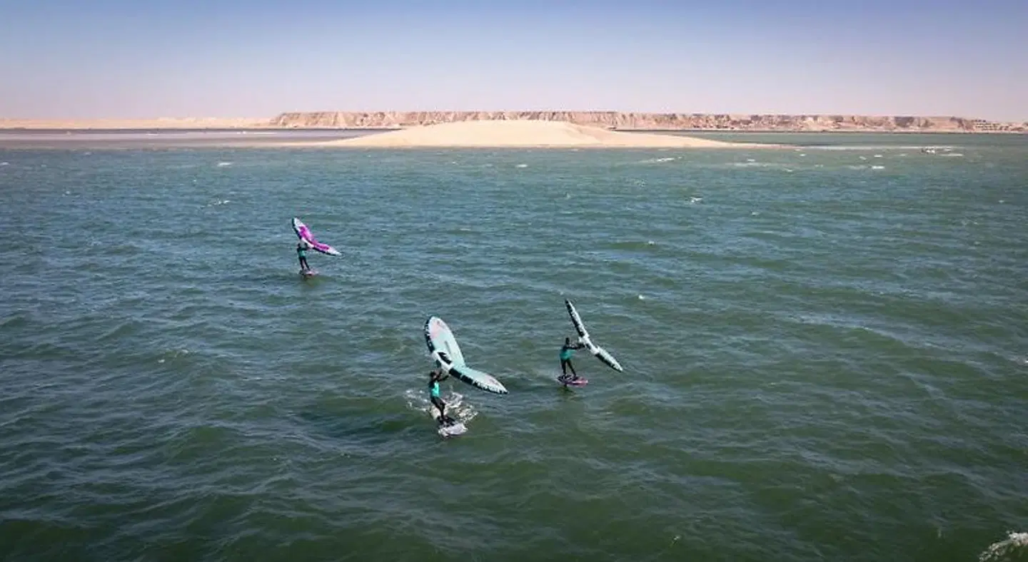 La Crique Nature & Spa Dakhla Tiere