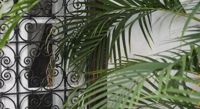 Riad Noor Charana – Hotelfoto