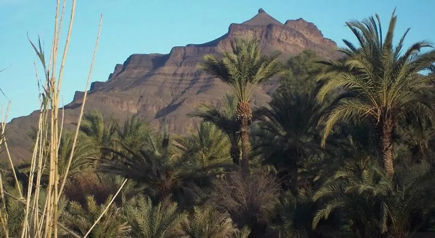 Dar Jnane La Maison Du Jardin LANDSCAPE