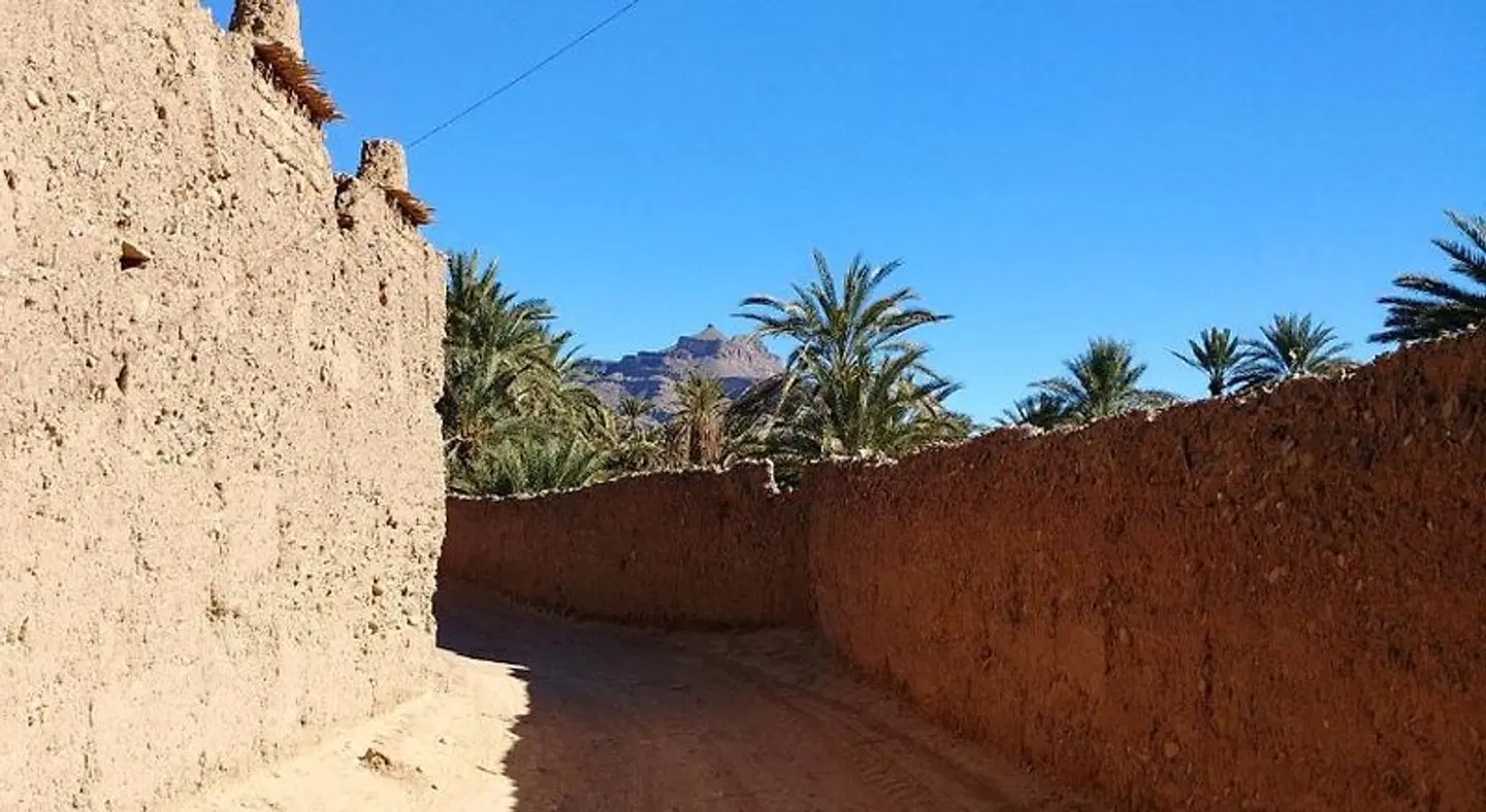 Dar Jnane La Maison Du Jardin LANDSCAPE